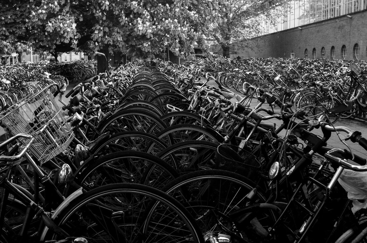Amsterdam is a city of bicycles and bicyclists. - Dmitry Ozersky