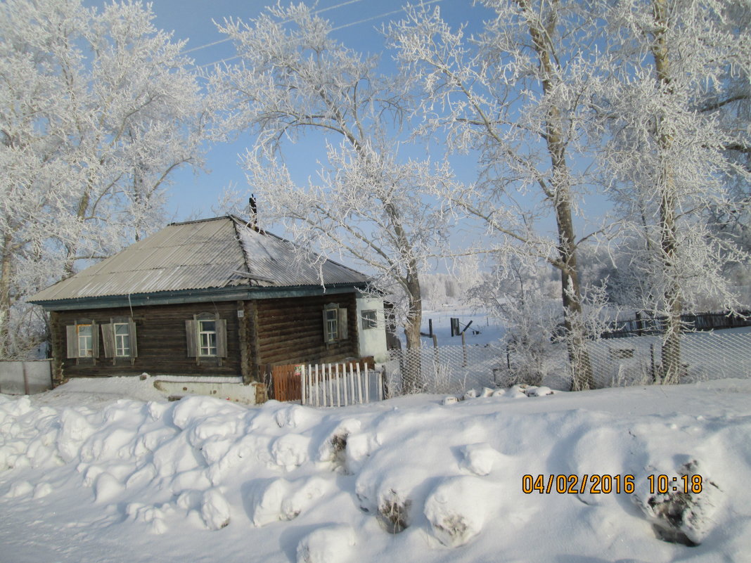 Мой зимний дом - Светлана Рябова-Шатунова
