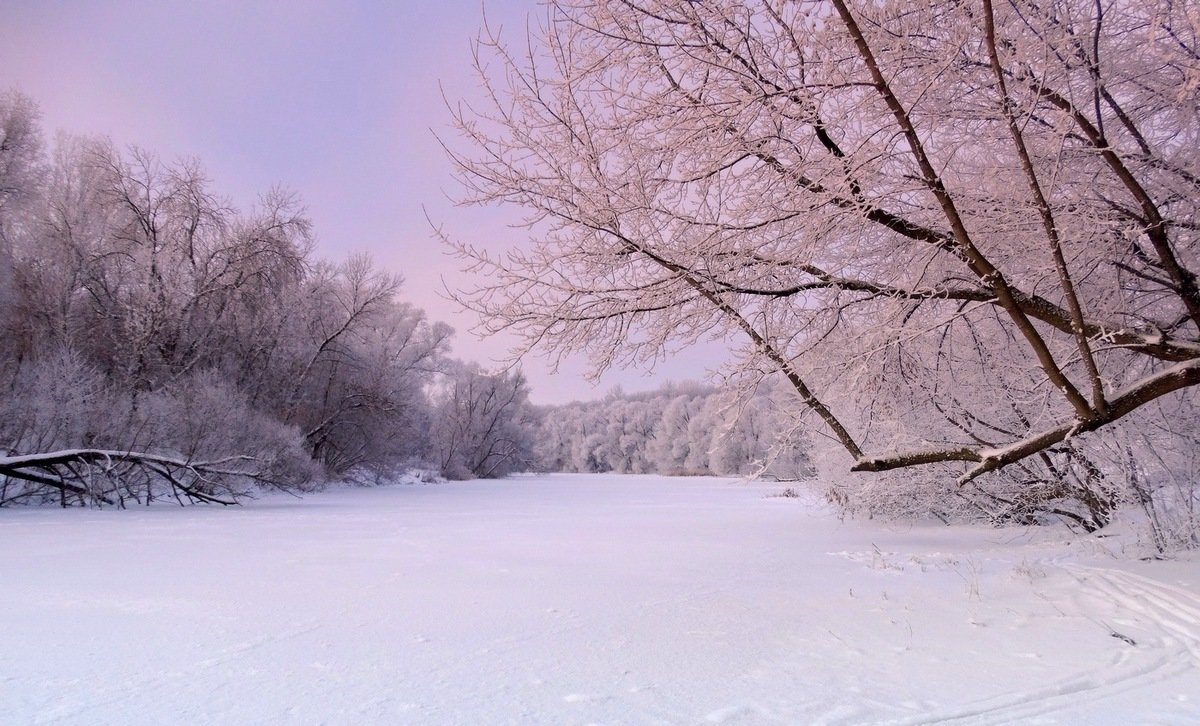 Краски морозного января - Александр Бойченко