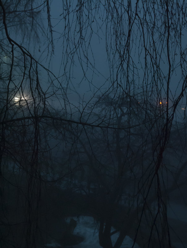 вечер,туман - Олег 