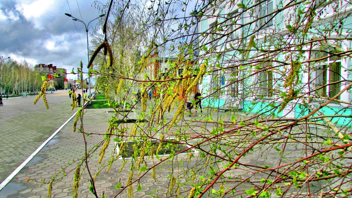 Весна в городе - Владимир 