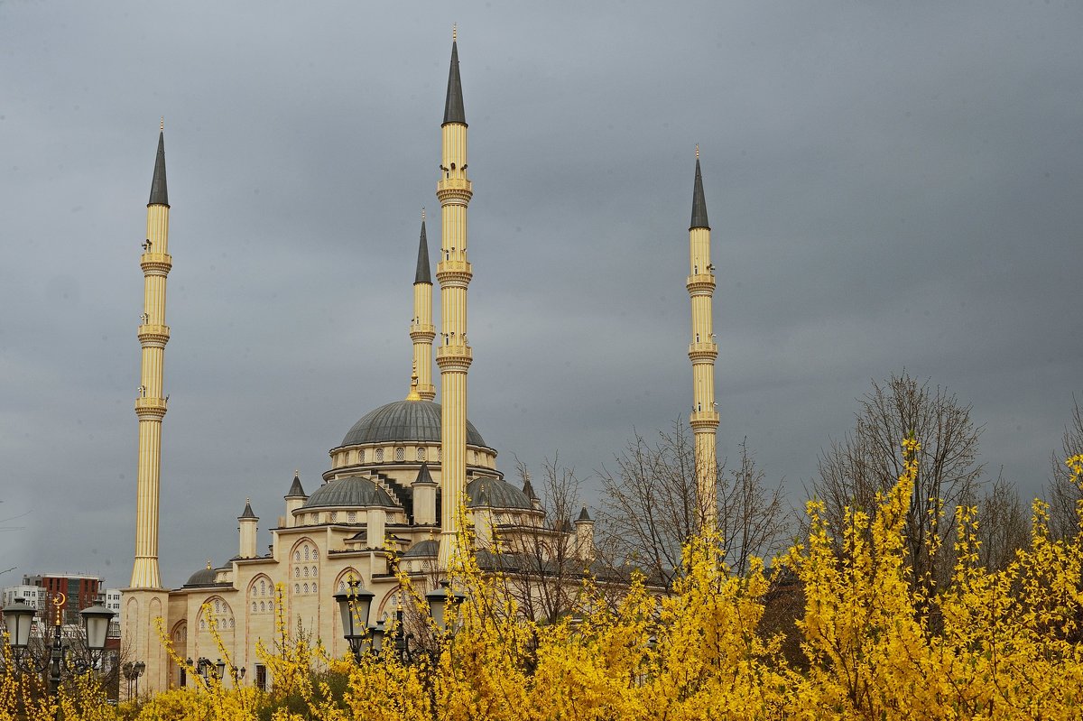 Мечеть Сердце Чечни. Грозный - Oksanka Kraft