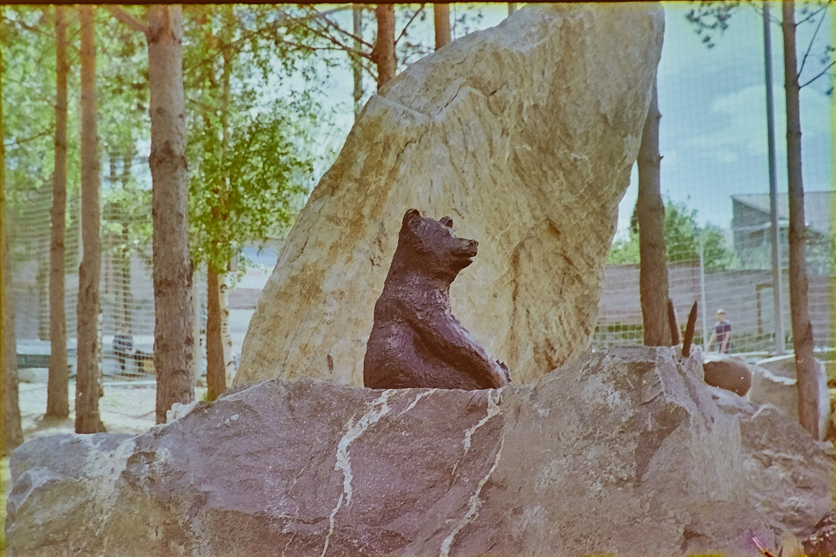 Зенит ТТЛ + Kodak Color Plus - 200 - Владислав Левашов