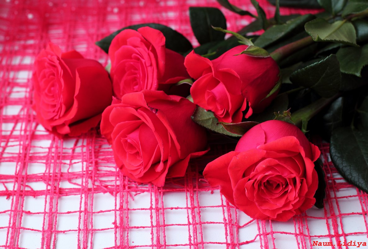 Розы красные - Лидия (naum.lidiya)