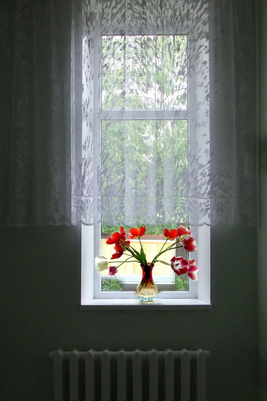 Тюльпаны на окне - Дубовцев Евгений 