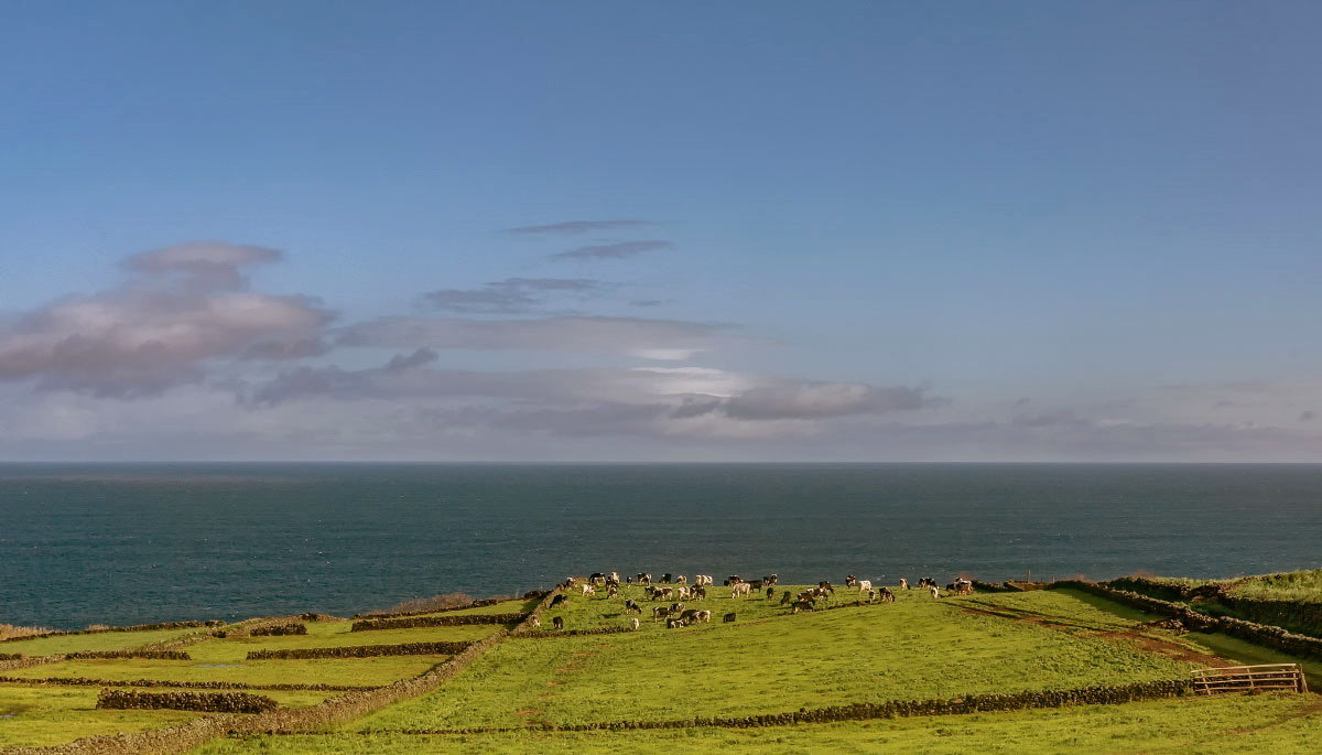 Azores 2018 Terceira 5 - Arturs Ancans