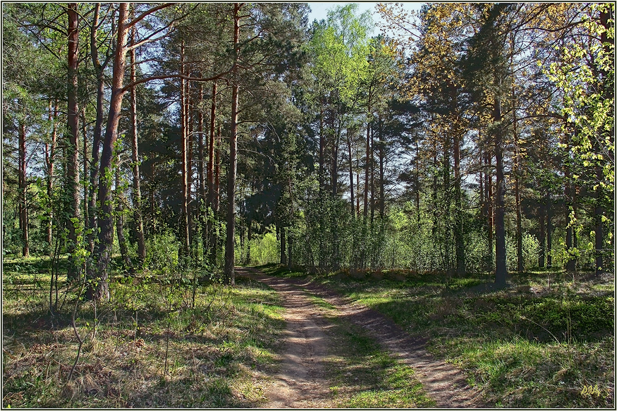 *** - Роланд Дубровский