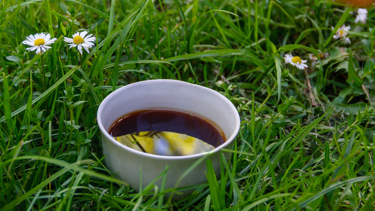 Чашка кофе на траве. - shabof 