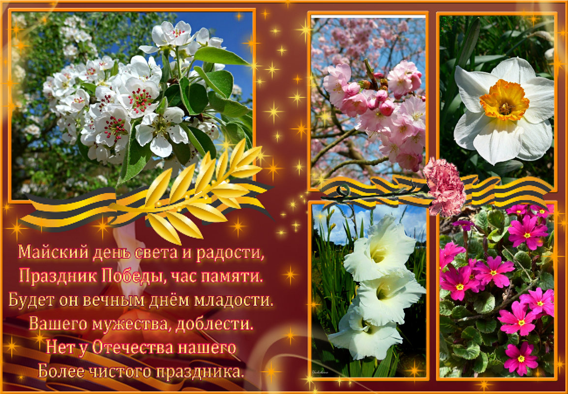 С Днём Победы, дорогие друзья! Мирного неба, здоровья, счастья! - Nina Yudicheva
