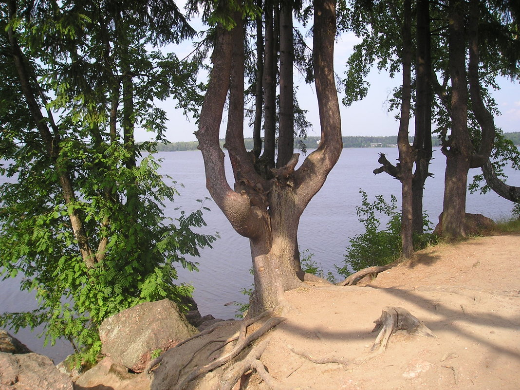 на берегу - Димончик 