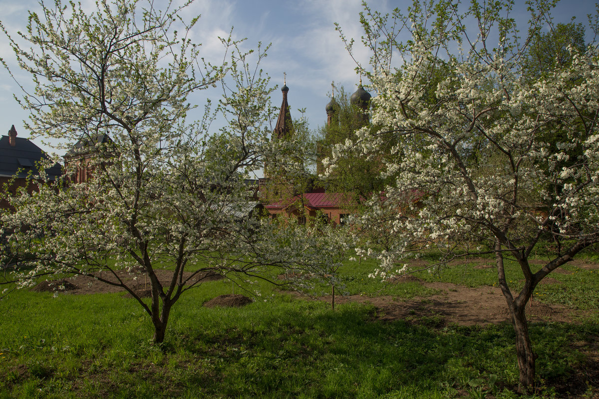 Весна в Крутицком - Александра 