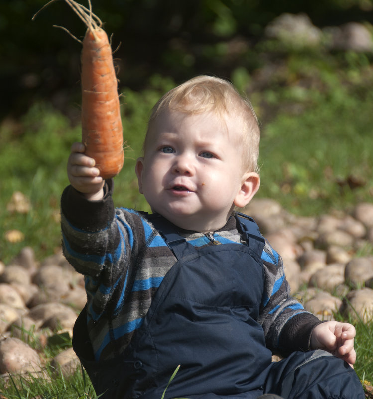 Вот это МОРКОВКА ! *** That&#39;s how big the CARROTON is! - Александр Борисов