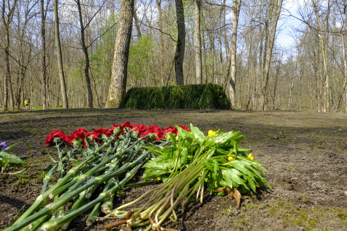 скромная могила Льва Толстого - Георгий А