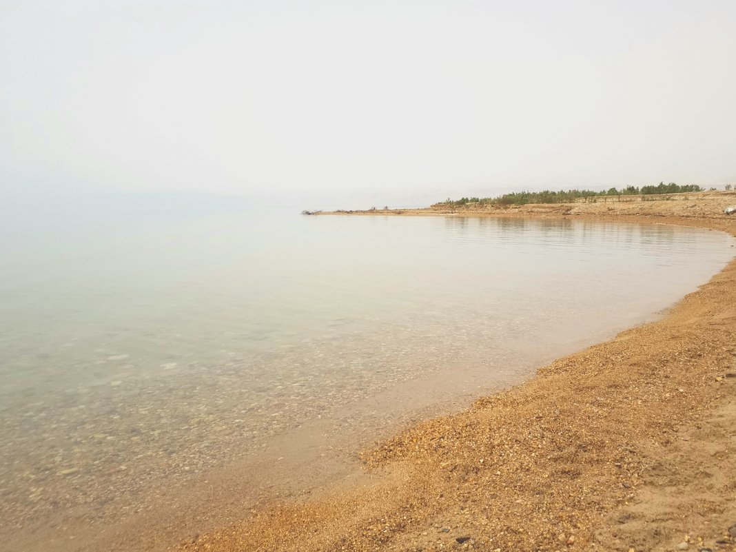 Туман на побережье реликтового Мертвого моря. - Жанна Викторовна