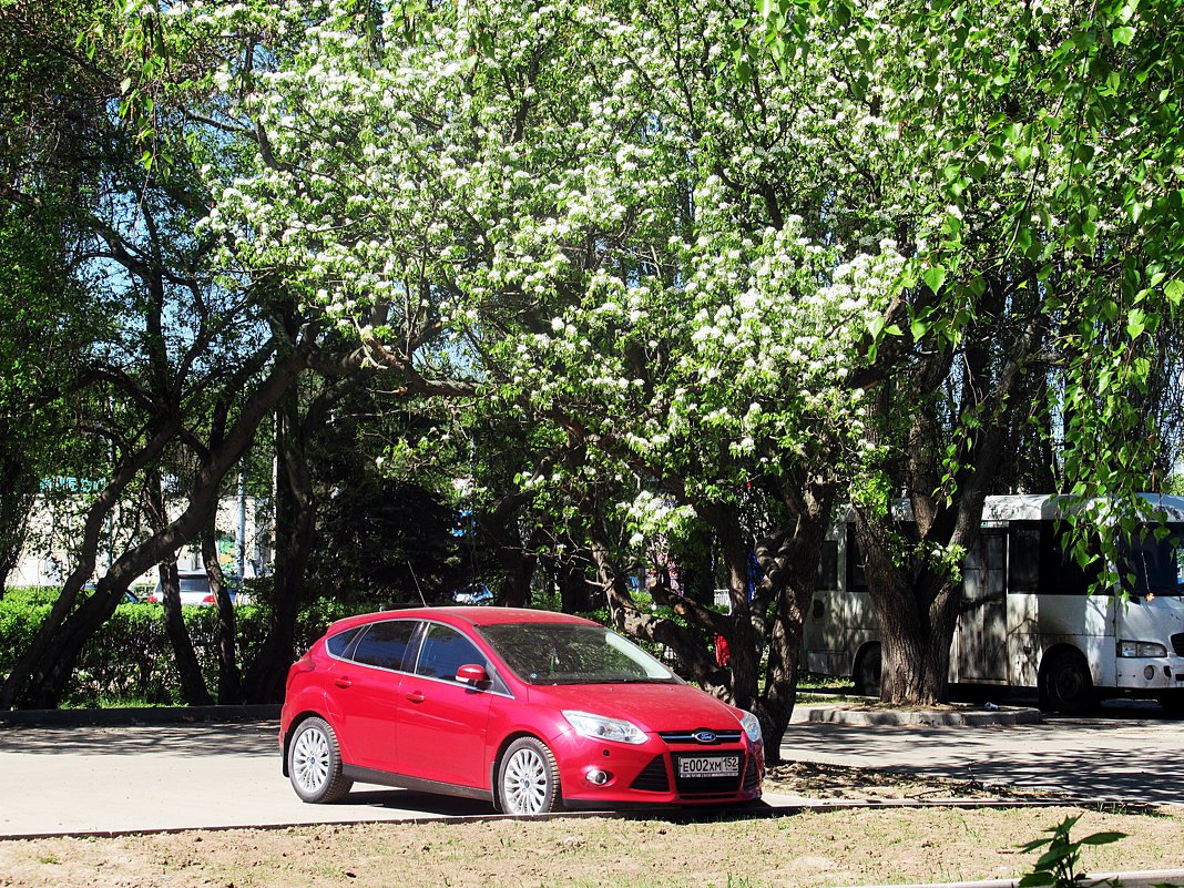 Весна в городе - Лариса 