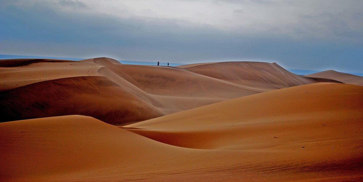 Пустыня Намиб. Намибиа. - Jakob Gardok