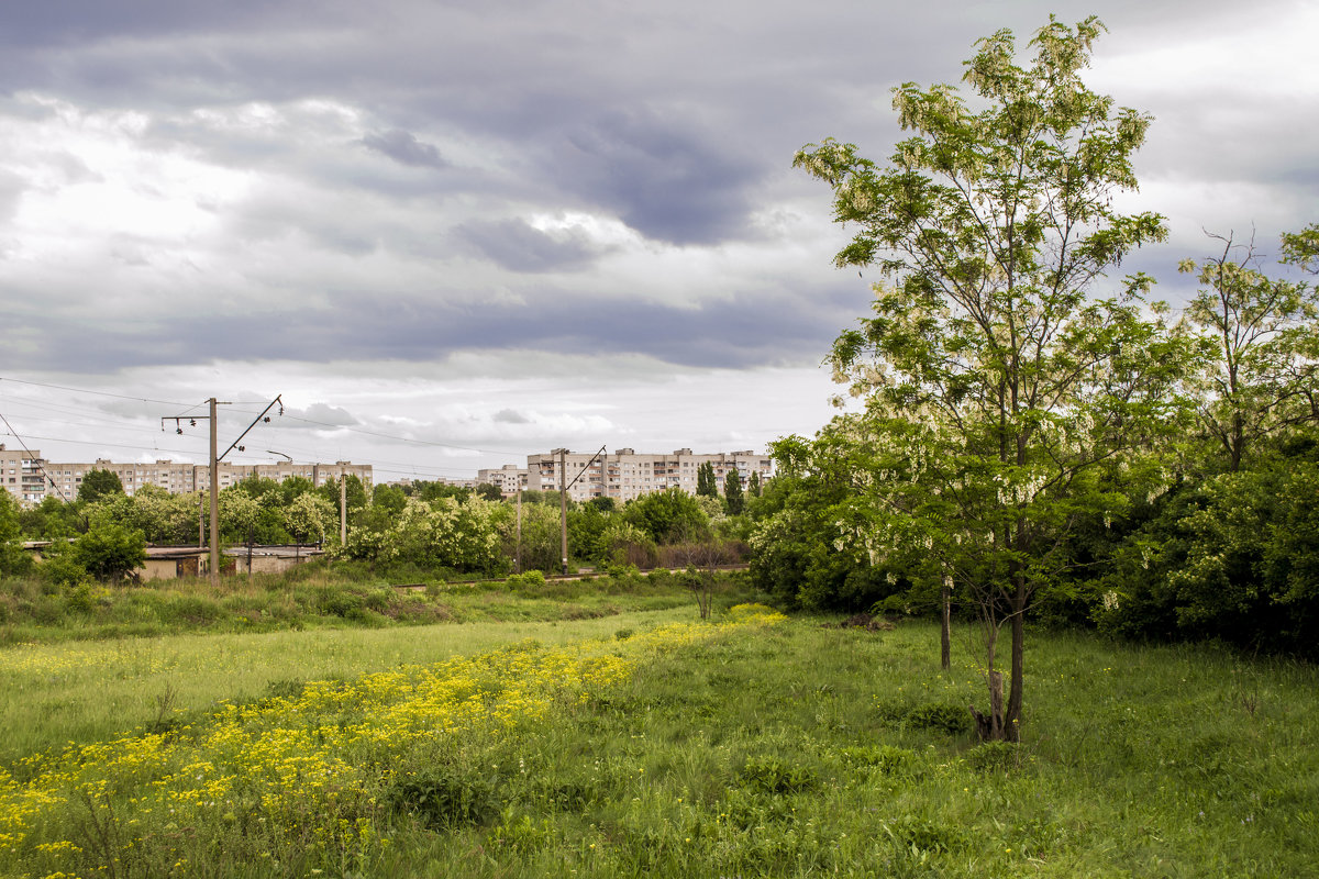 за городом - Александр 