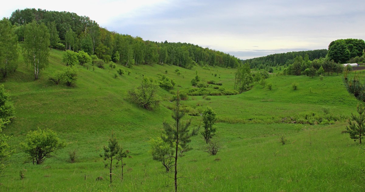 Типичный пейзаж средней полосы России. - Борис Митрохин