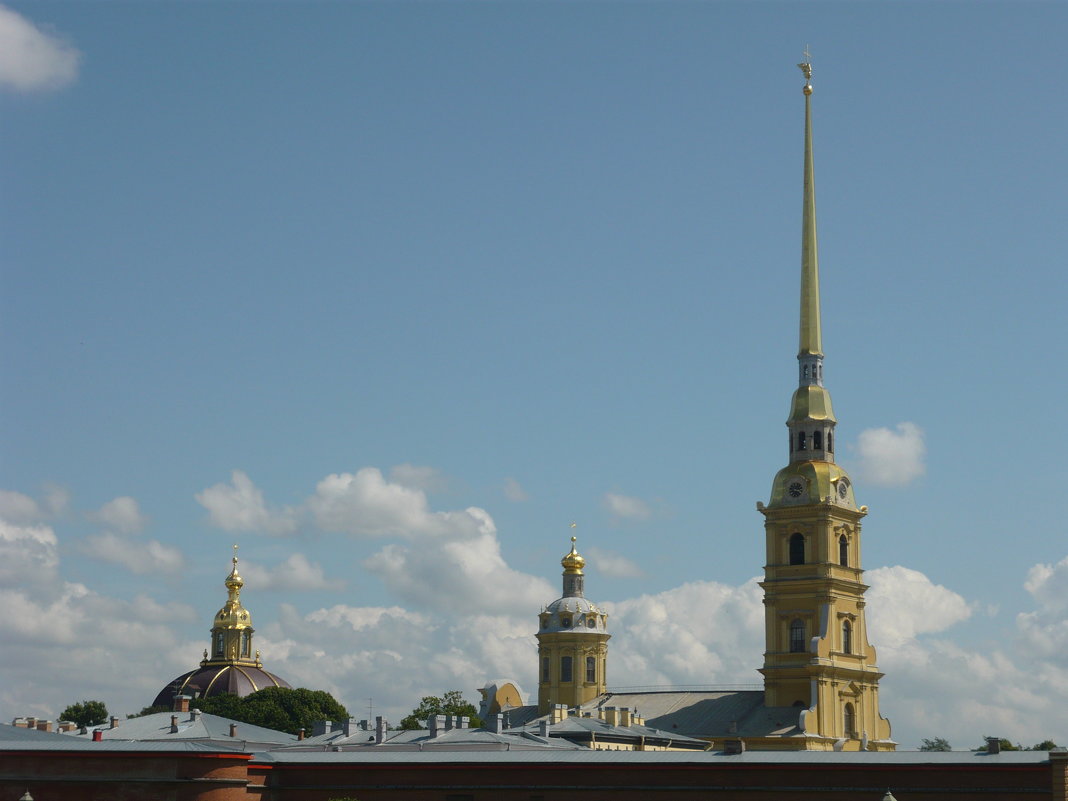 Петропавловский собор - Вероника 