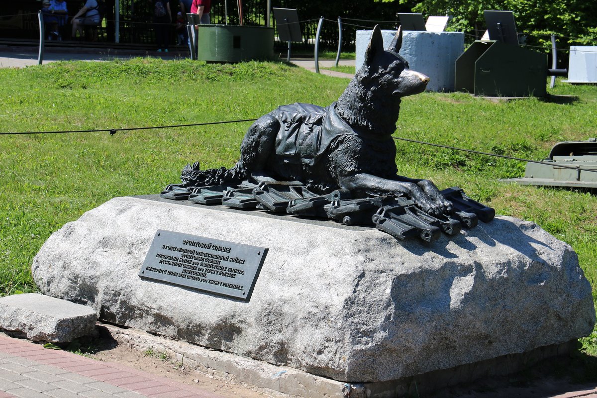 памятник фронтовой собаке - Владимир Холодницкий