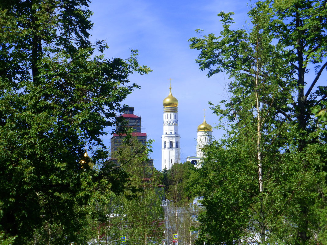 Москва. Центр - Татьяна Лобанова