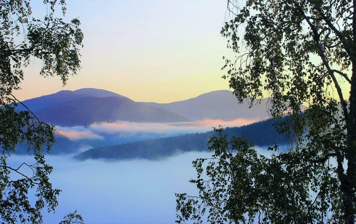 Утро с туманом - Сергей Чиняев 