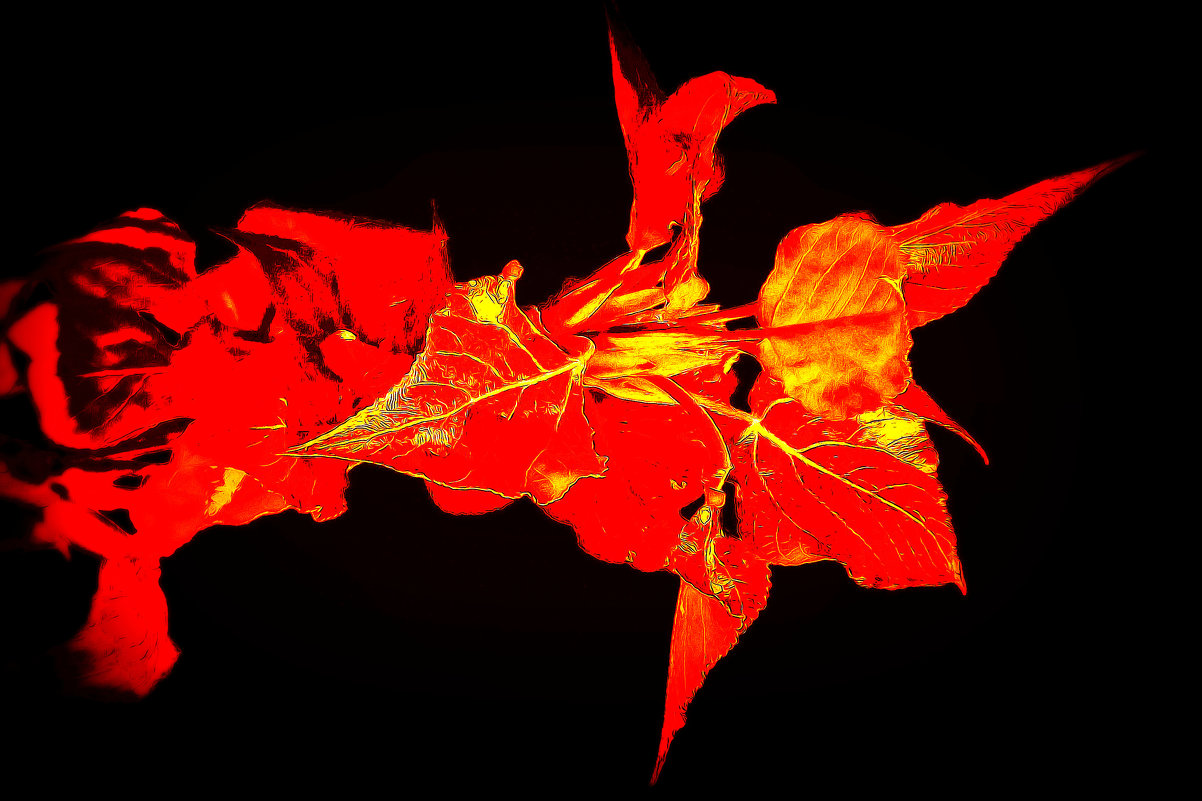 Сердце поэта - веточка цвета пожара - Фотогруппа Весна