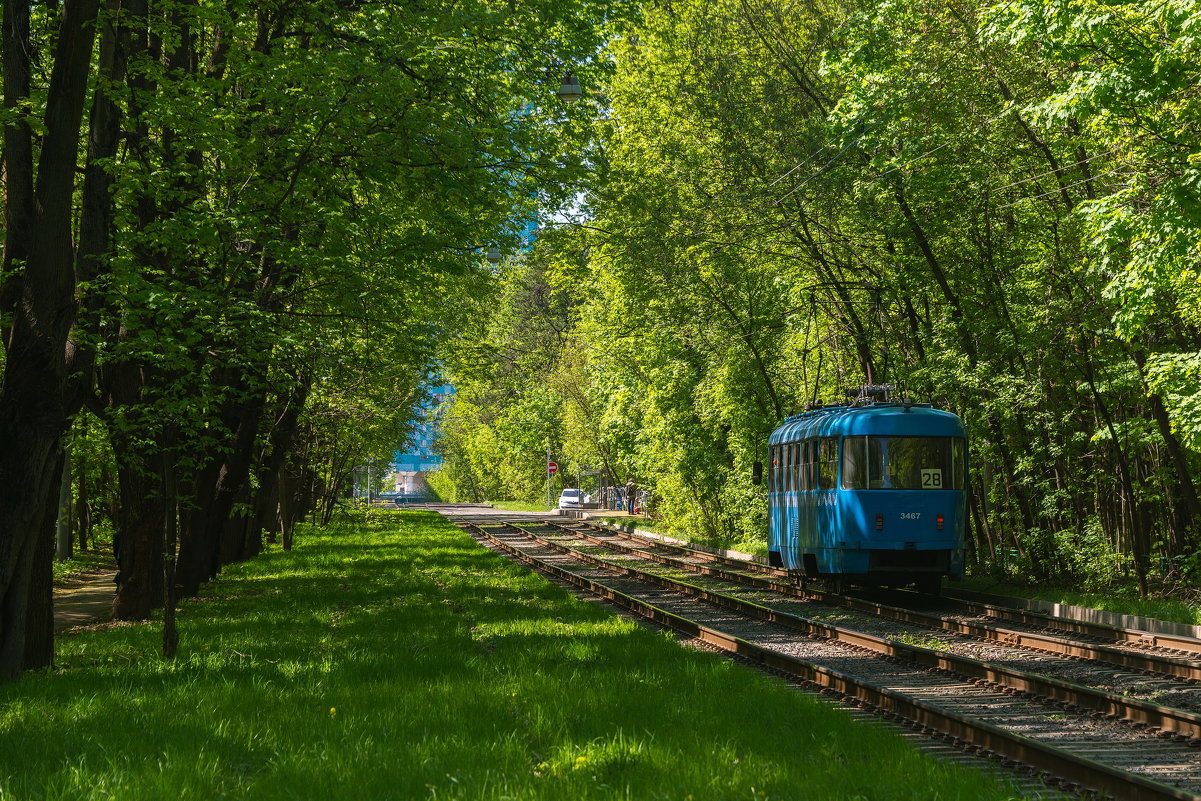 Трамвай из леса в город - Владимир Брагилевский