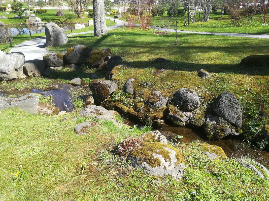 Японский сад в таллинском Кадриорге - veera v