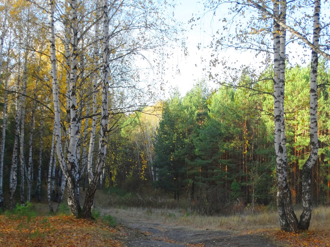 Осень - Александр Подгорный