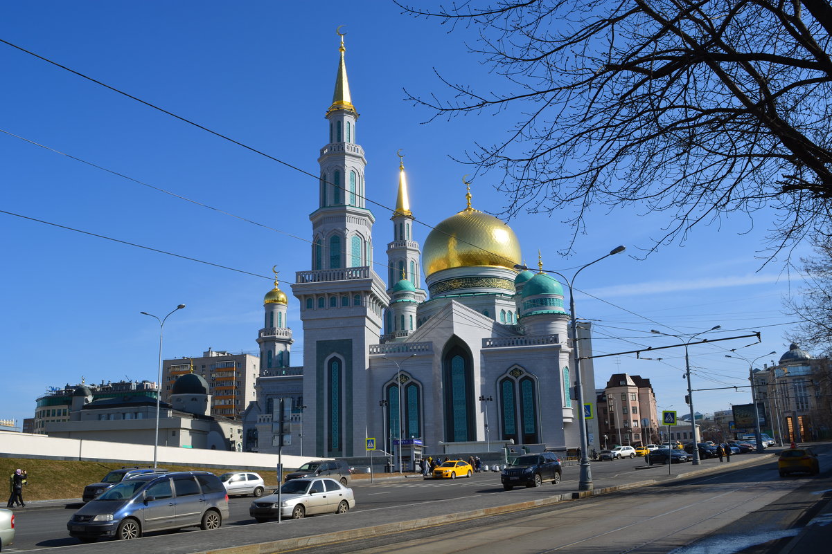 Главная мечеть Москвы - Larisa Simonenkova