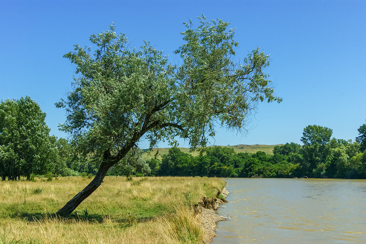 Дотянуться до воды - Игорь Сикорский