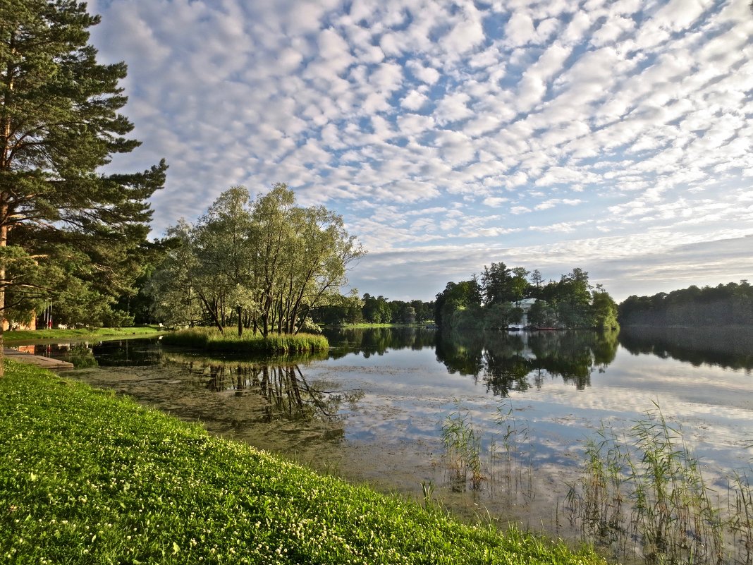 в Царском Селе - Елена 