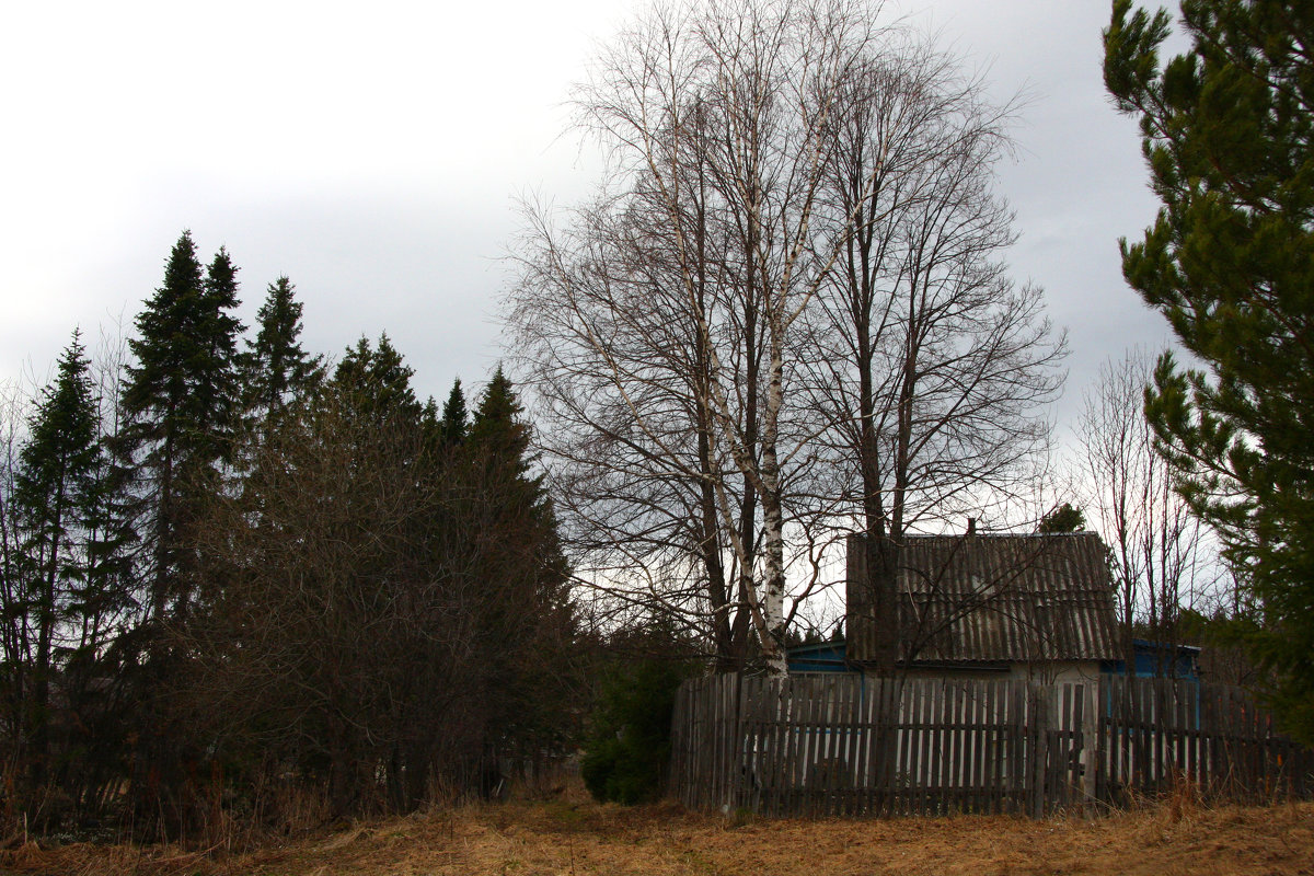 Дом, забор, дерево - Алексей Екимовских