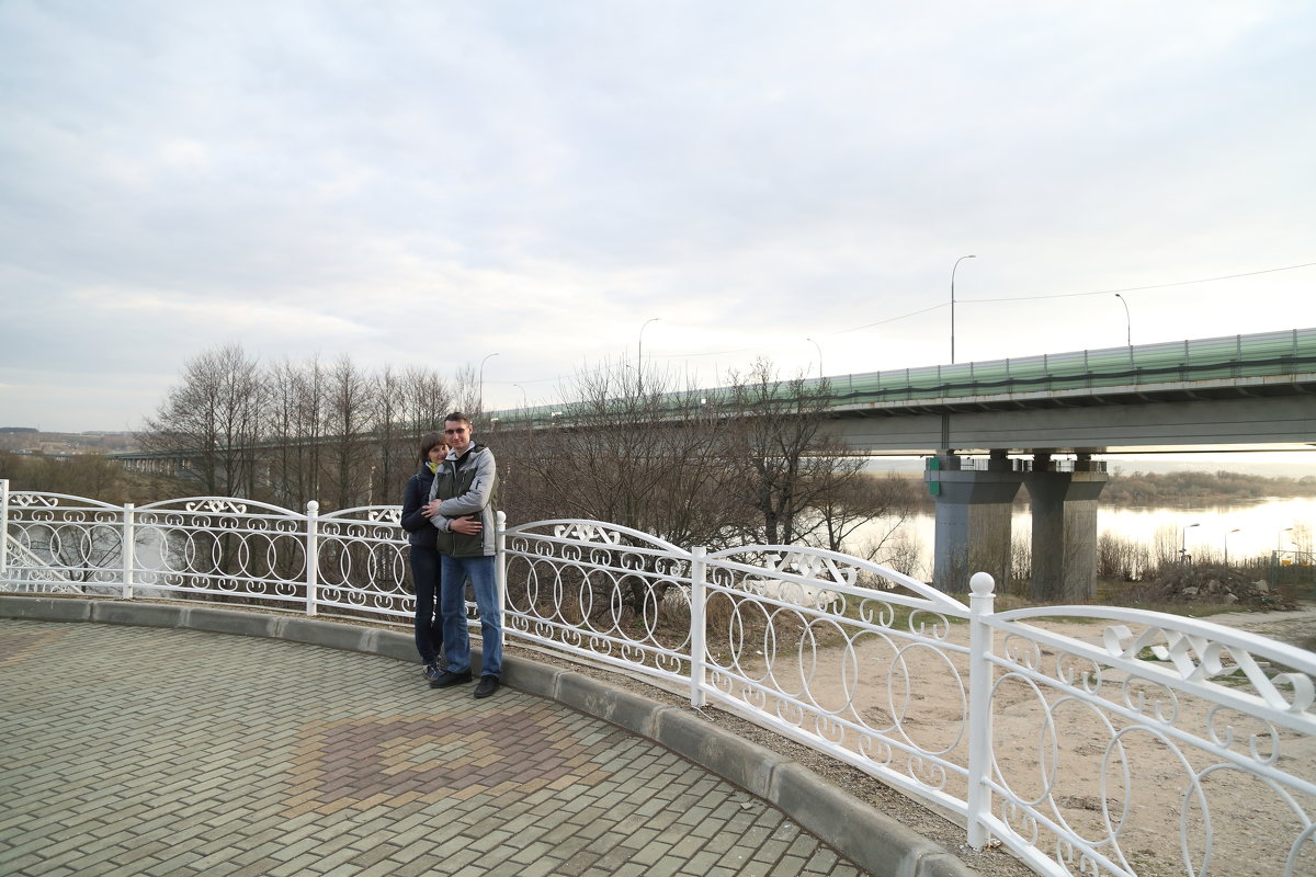 Вид на мост - Николай Холопов