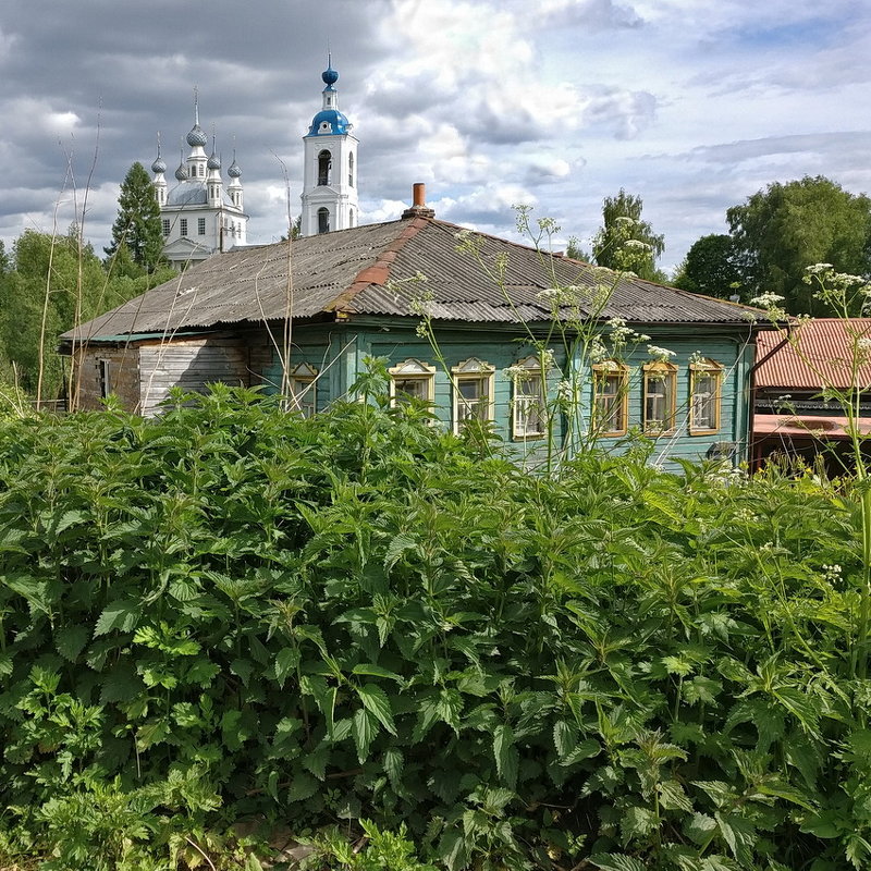 Крапивное лето ярославской окраины, в Песочном-Толгоболе - Николай Белавин