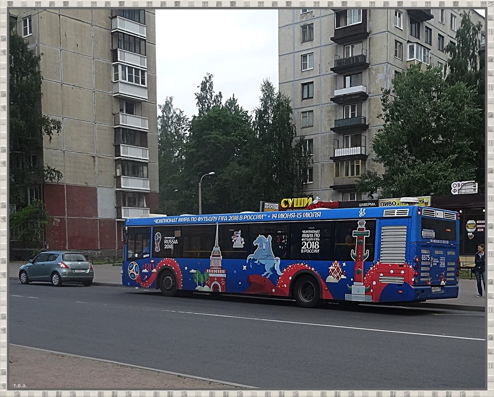 Новые автобусы - Вера 