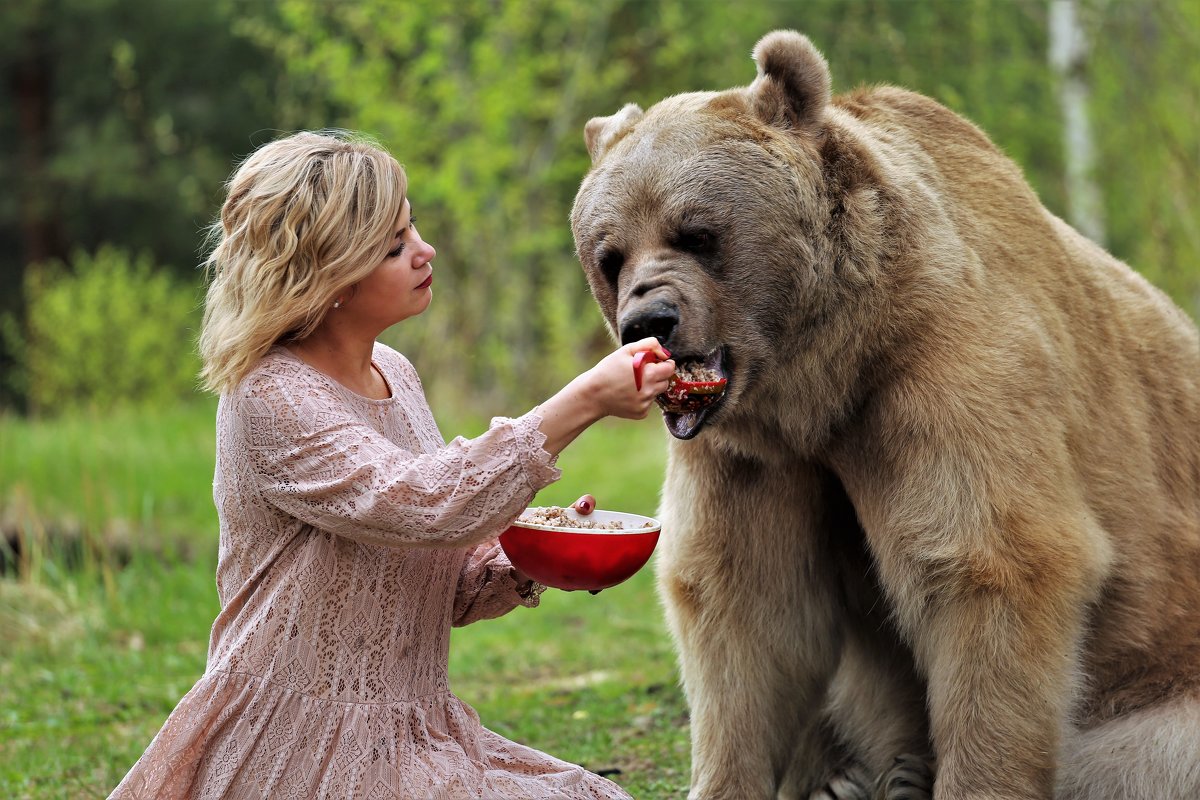 русский медведь - tatiana rastorgyeva