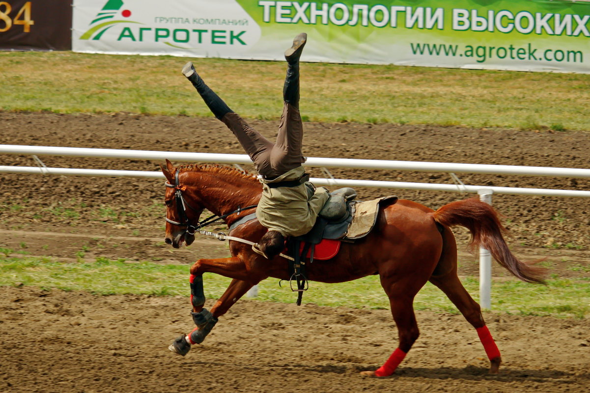 *** - Роман Величко