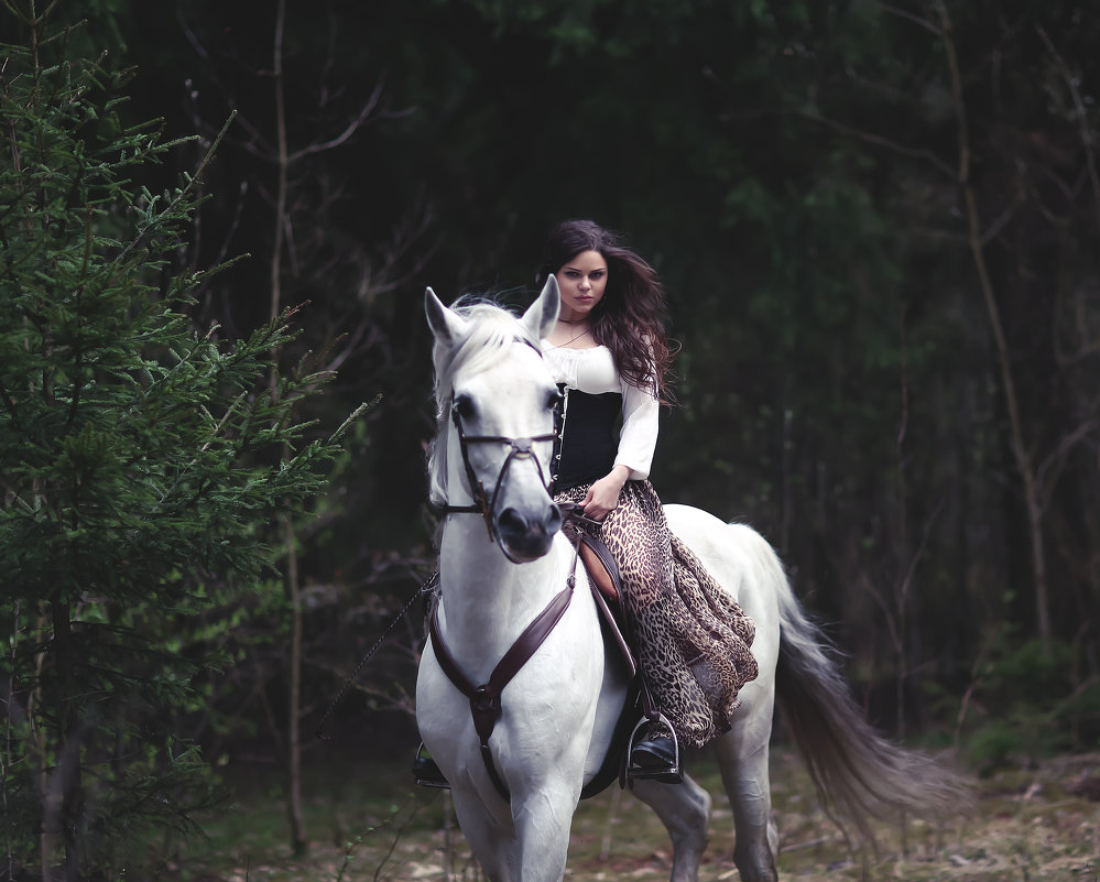 Девушка на коне - Леонид Романский