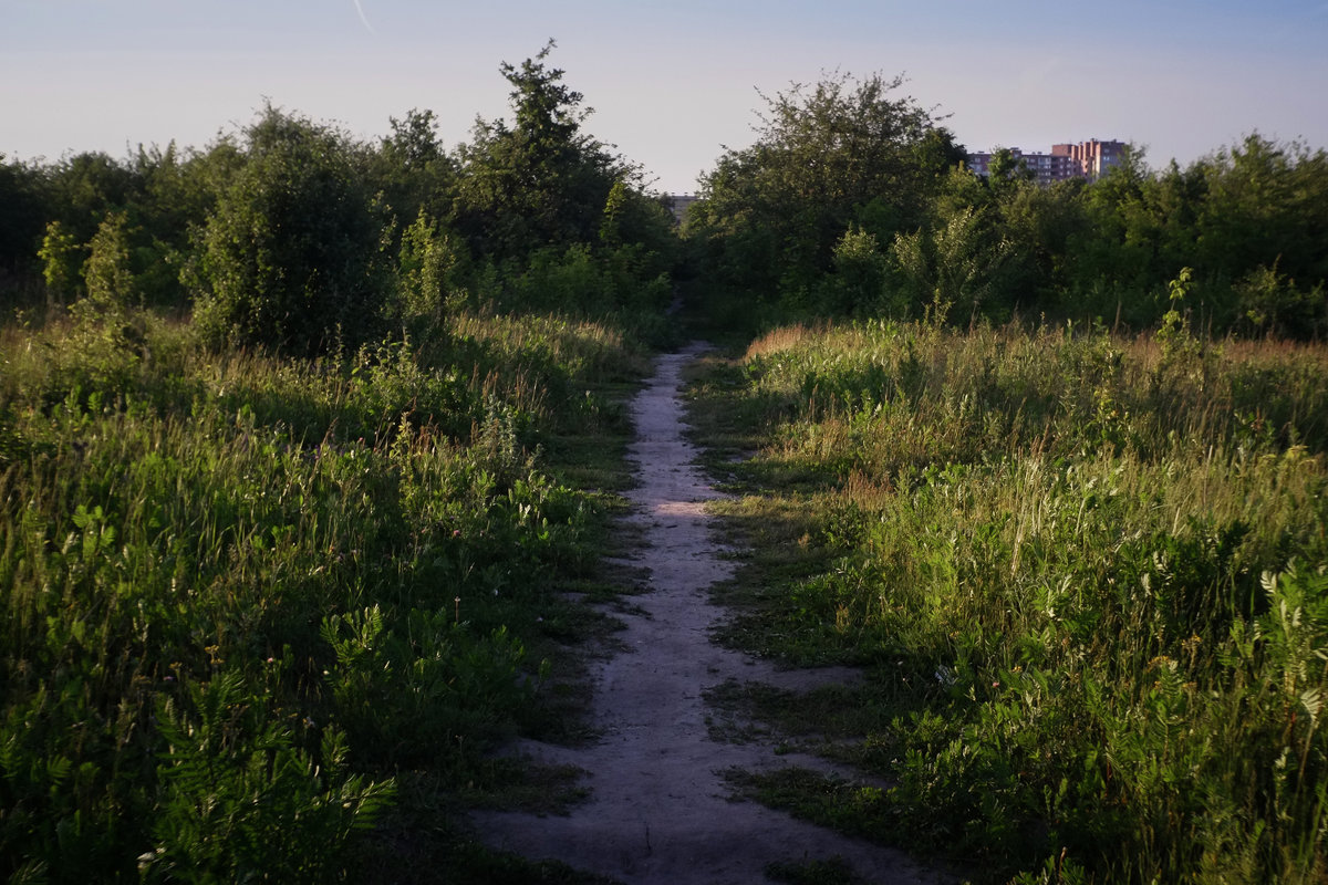 Сад на Шишкова, Воронеж - Артём Неровный