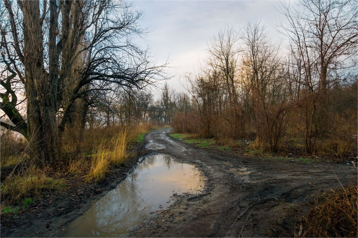 Сырое утро - Шуриман .