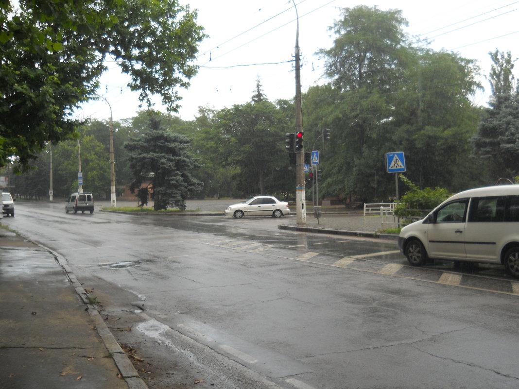 В городе дождь - Галина Квасникова