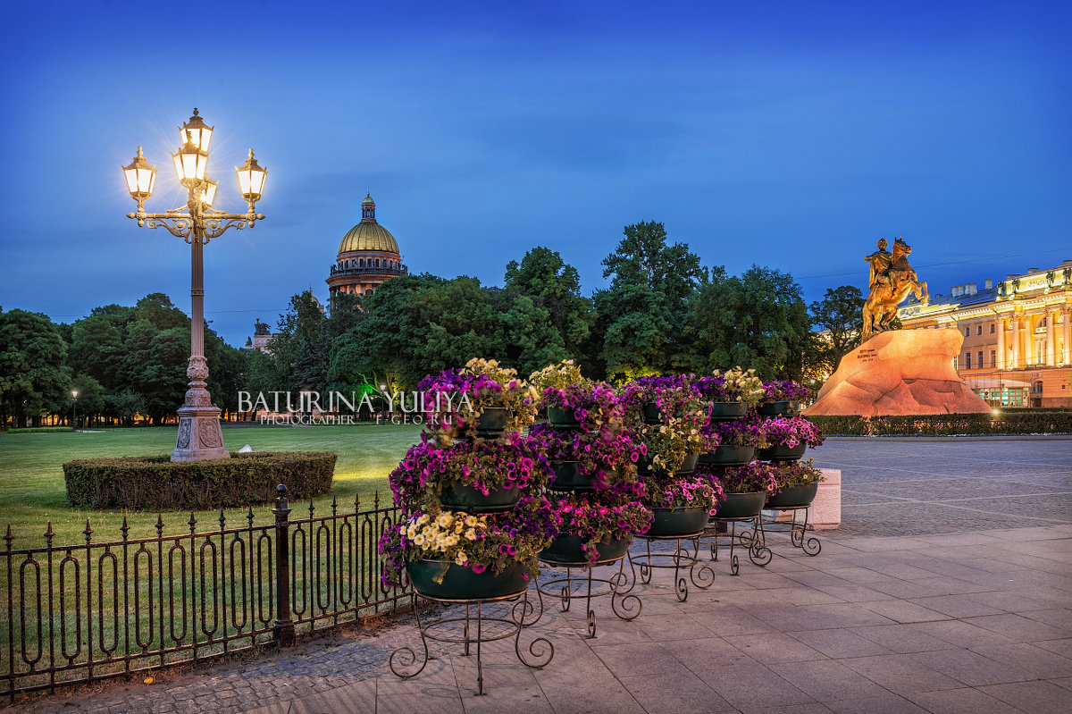 Цветы на Сенатской площади - Юлия Батурина