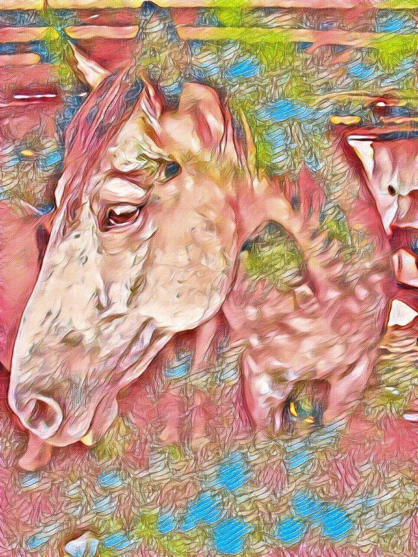 Красный конь - Владимир 
