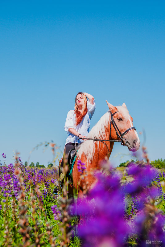 Любовь к лошадям - Райдара Лесная