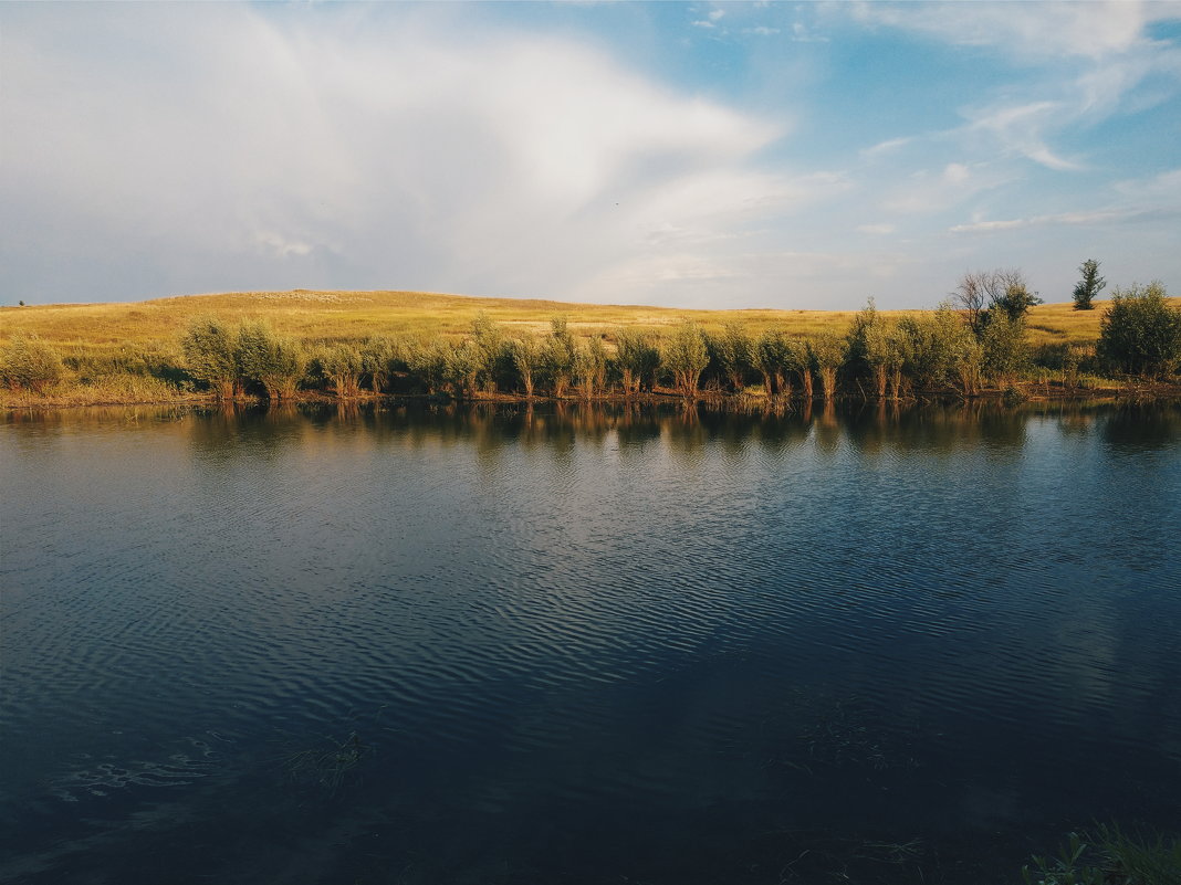 брошенное озеро в степи - Алина Гриб