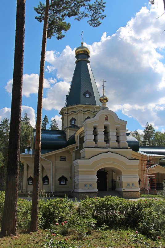 Державный храм - Елена Викторова 