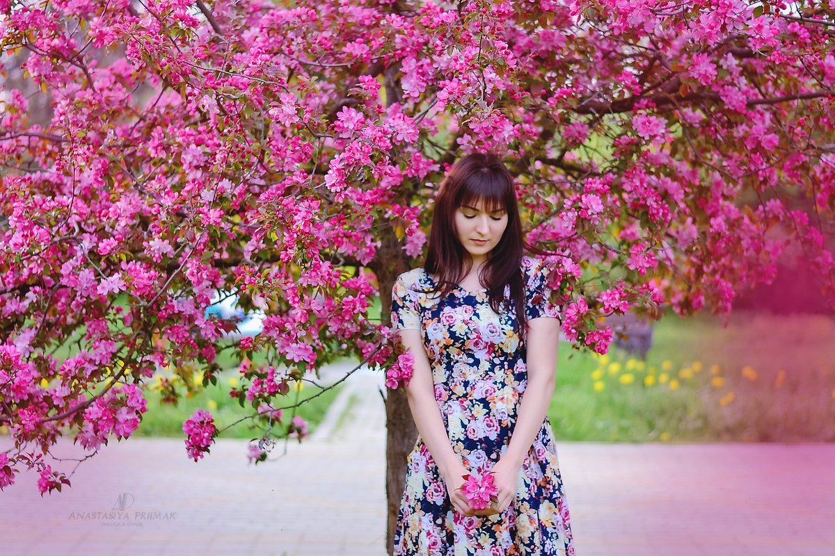 В цветущих деревьях - Анастасия Приймак