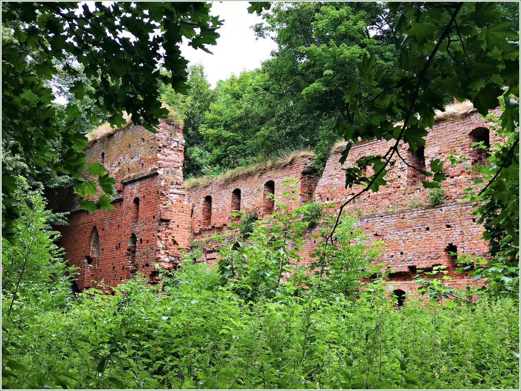 Руины замка Бальга, 13 век. - Валерия Комова